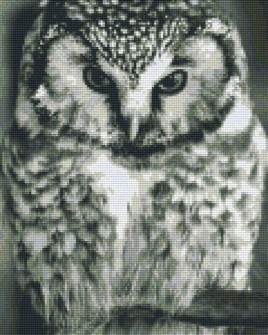 Owl In Black & White Nine [9] Baseplate PixelHobby Mini-mosaic Art Kit image 0